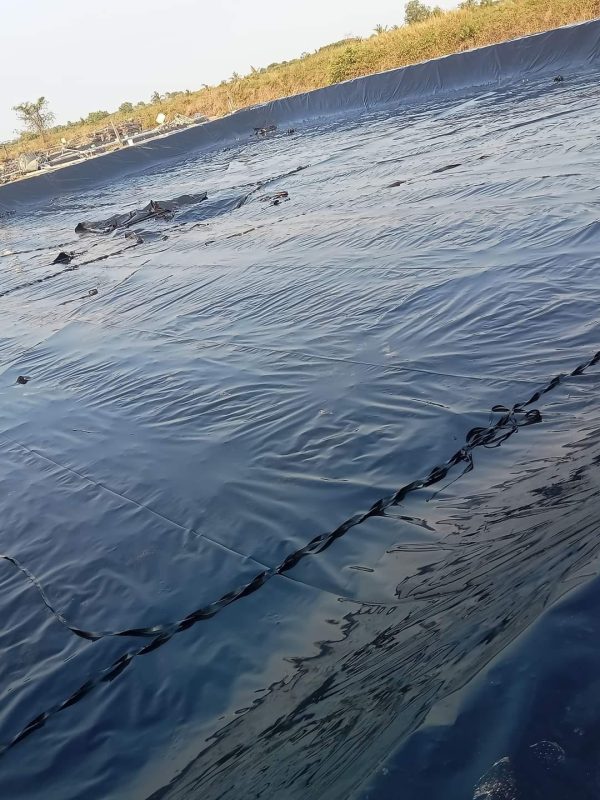 Bạt nhựa HDPE lót ao hồ