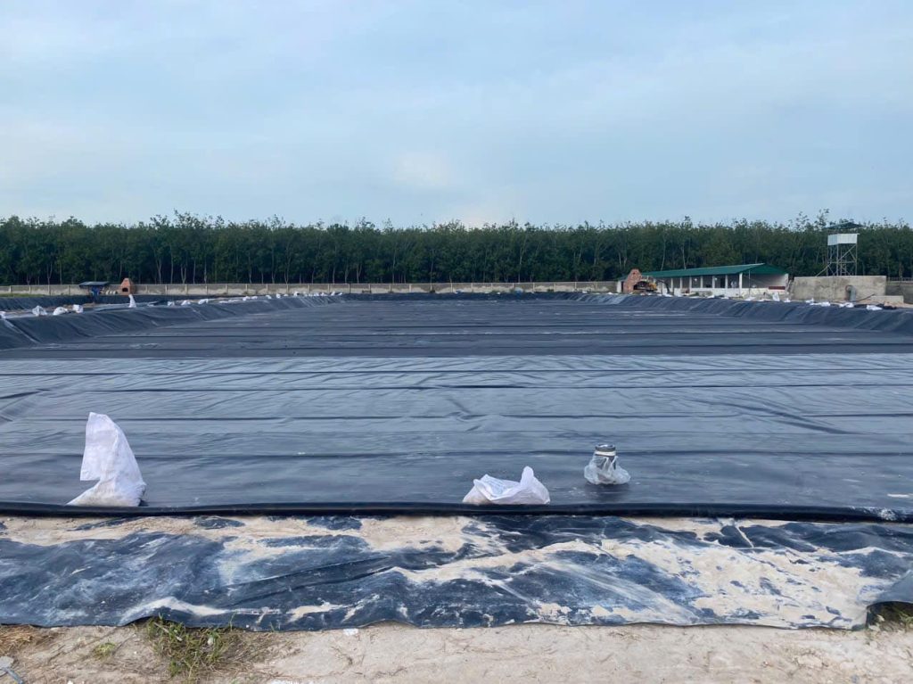 Bạt nhựa HDPE lót ao hồ