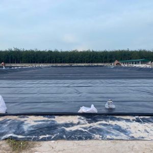 Bạt hdpe 0,75(mm) lót ao hồ nuôi tôm cá
