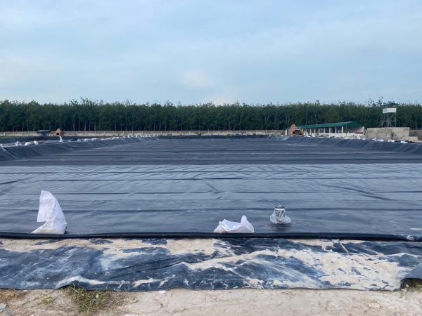 Bạt hdpe 0,75(mm) lót ao hồ nuôi tôm cá