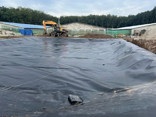 Bạt HDPE chống thấm nước lót ao hồ nuôi cá