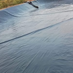 Bạt nhựa HDPE lót ao hồ
