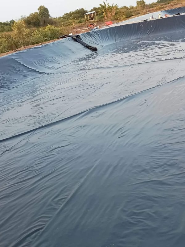 Bạt nhựa HDPE lót ao hồ