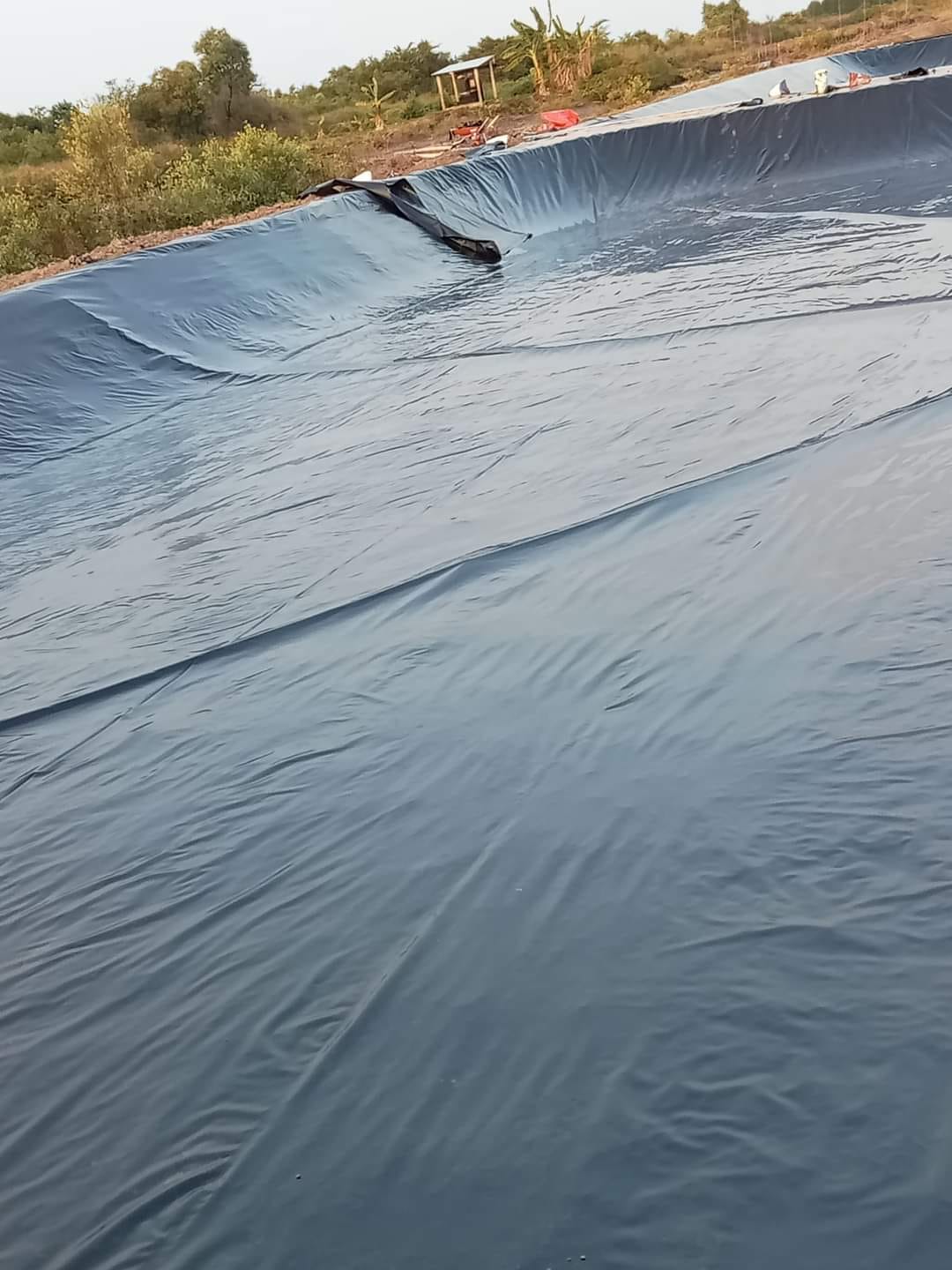 Bạt nhựa HDPE lót ao hồ