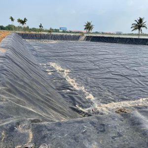Bạt lót hồ chứa nước tưới cây cà phê ở Pleiku