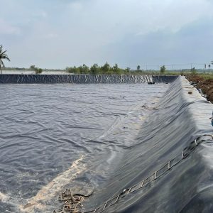 Lót hồ nuôi tôm cá bạt HDPE dày 1mm