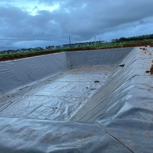 Bạt lót ao hồ nuôi tôm HDPE