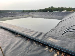 Nuôi tôm công nghệ cao sử dụng bạt HDPE ở miền Trung