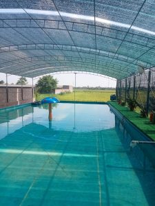 Lưới lan che nắng che hồ bơi