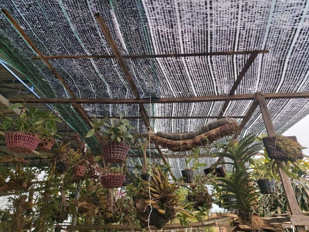 Lưới lan che nắng nhà trông Lan