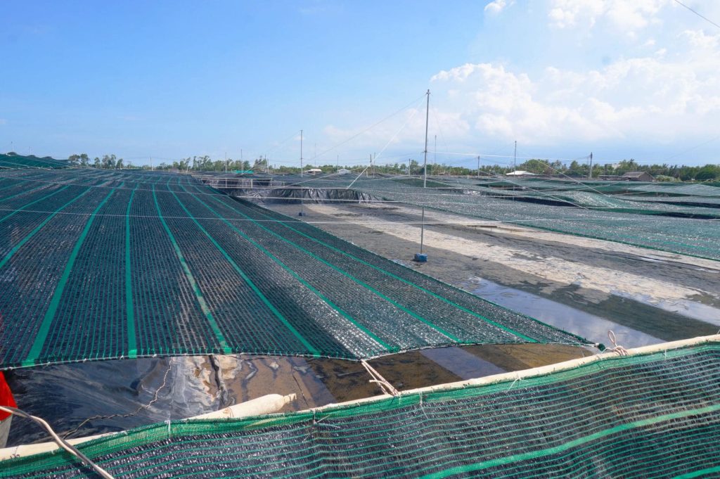 Lưới lan che nắng ngoài trời ở Quảng Ninh che hồ tôm