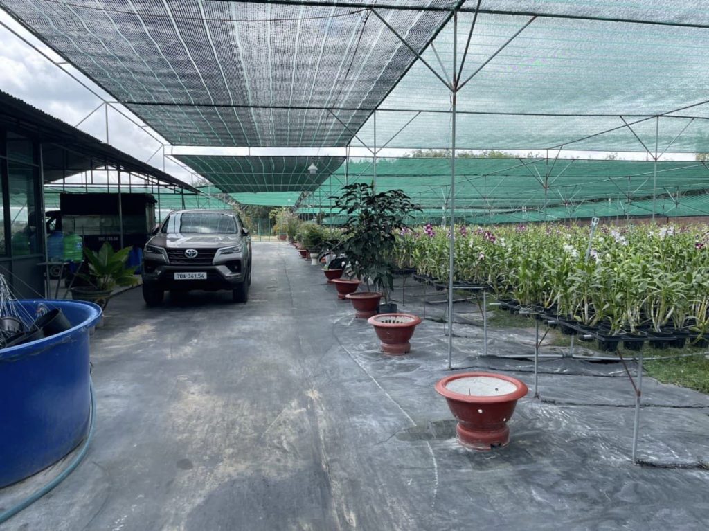 Lưới lan che nắng ngoài trời ở Quảng Ninh trông lan