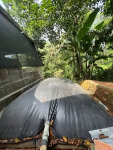 Túi Biogas Quy Mô Trang Trại Vừa (Dung tích trung bình: 25m³ - 100m³) Túi Biogas Quy Mô Trang Trại Vừa (Dung tích trung bình: 25m³ - 100m³)