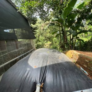 Túi Biogas Quy Mô Trang Trại Vừa (Dung tích trung bình: 25m³ - 100m³)
