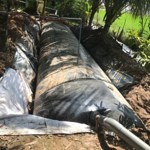 Túi biogas