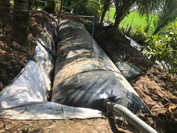 Túi biogas