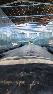 Túi Biogas Công Nghiệp/Quy Mô Lớn (Dung tích lớn: Trên 100m³) Túi Biogas Công Nghiệp/Quy Mô Lớn (Dung tích lớn: Trên 100m³)