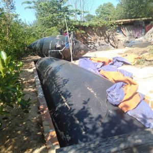 Túi biogas trại heo