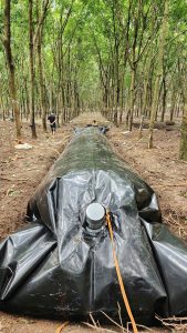 Thi công lắp đặt túi biogas Thi công lắp đặt túi biogas