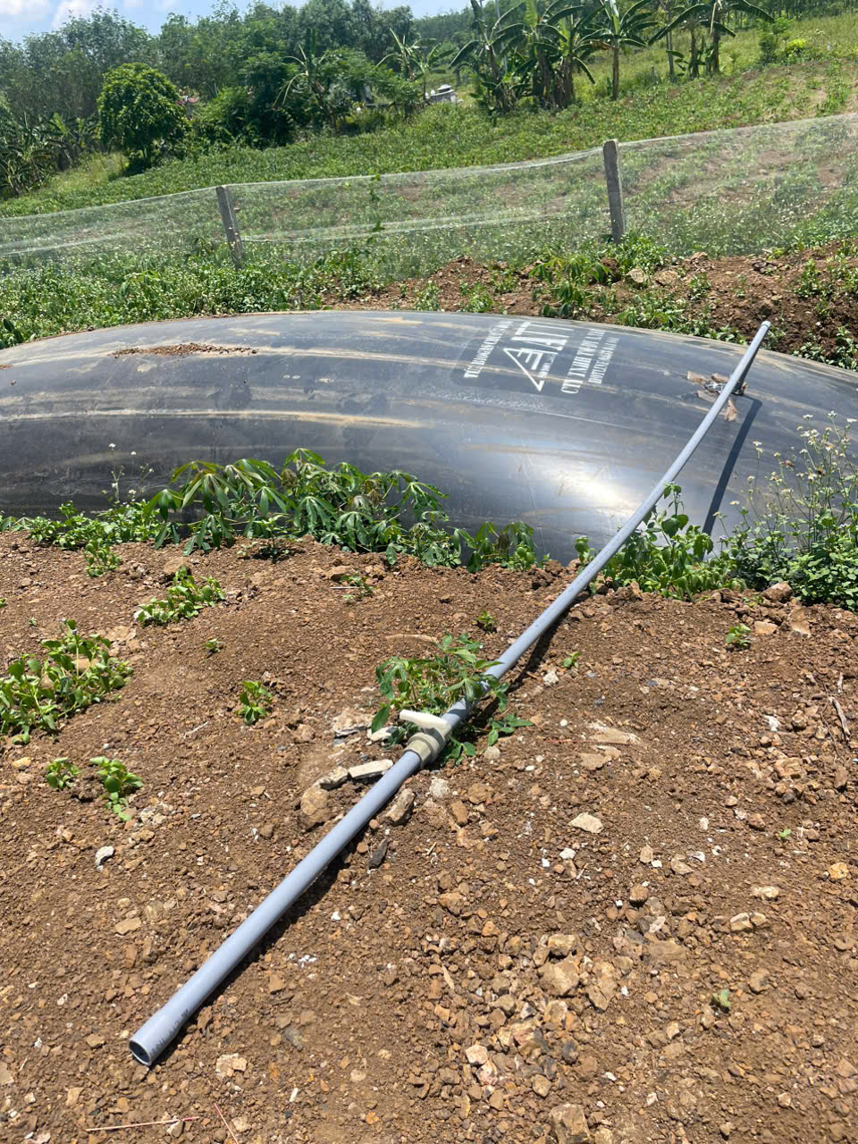 Túi dự trữ khí biogas HDPE có thể được ứng dụng rộng rãi trong nhiều lĩnh vực Túi dự trữ khí biogas HDPE có thể được ứng dụng rộng rãi trong nhiều lĩnh vực