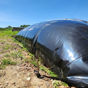 Túi bạt biogas HDPE dày 1mm