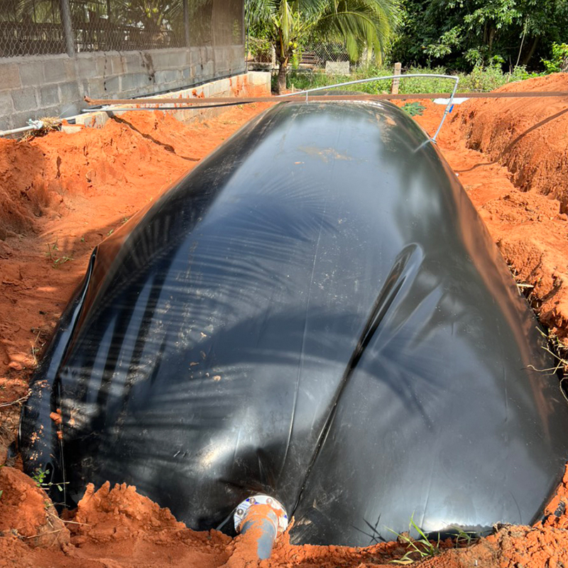 Túi biogas trại heo Túi biogas trại heo