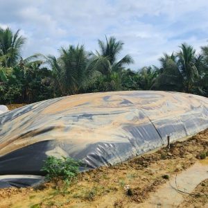 Túi bạt biogas HDPE dày 1mm