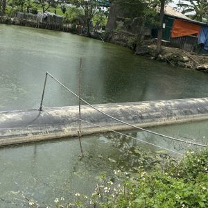 Túi biogas trên mặt nước