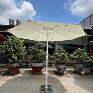 Dù đứng tâm tròn 3m màu trắng
